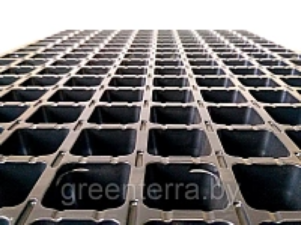 Кассета 160 (0.8) ячеек для рассады